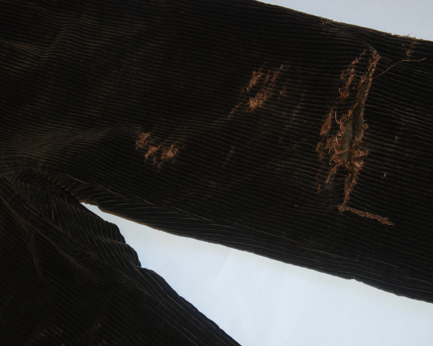 untitled 11 - distressed brown pants